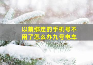 以前绑定的手机号不用了怎么办九号电车