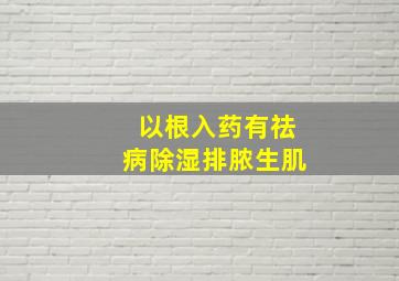 以根入药有祛病除湿排脓生肌