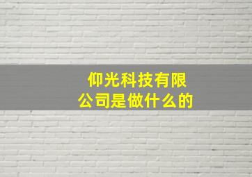 仰光科技有限公司是做什么的