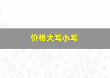 价格大写小写