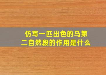 仿写一匹出色的马第二自然段的作用是什么