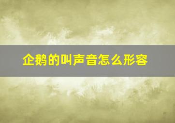 企鹅的叫声音怎么形容