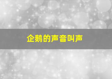 企鹅的声音叫声