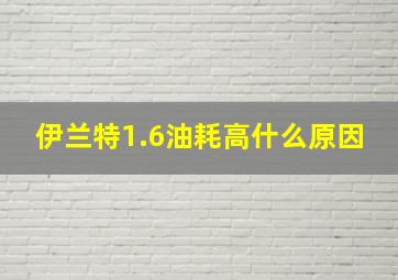 伊兰特1.6油耗高什么原因