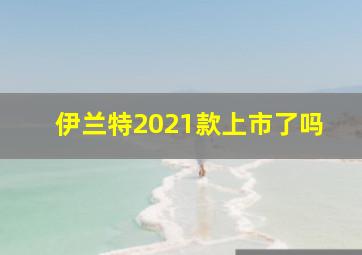 伊兰特2021款上市了吗