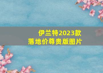 伊兰特2023款落地价尊贵版图片