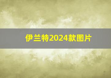 伊兰特2024款图片