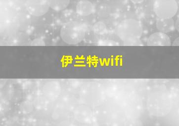 伊兰特wifi