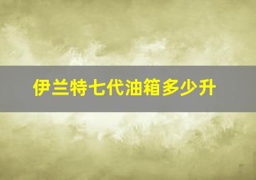 伊兰特七代油箱多少升