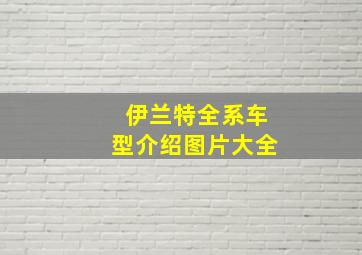 伊兰特全系车型介绍图片大全