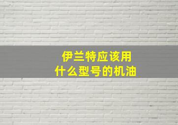 伊兰特应该用什么型号的机油