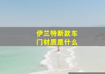 伊兰特新款车门材质是什么