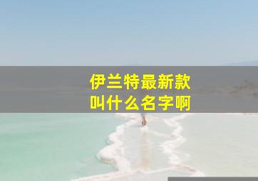 伊兰特最新款叫什么名字啊