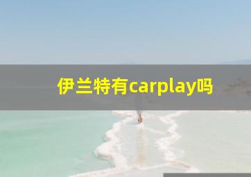 伊兰特有carplay吗