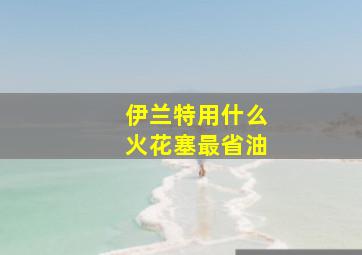 伊兰特用什么火花塞最省油