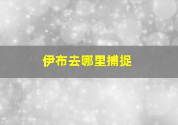 伊布去哪里捕捉