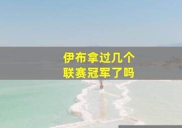 伊布拿过几个联赛冠军了吗