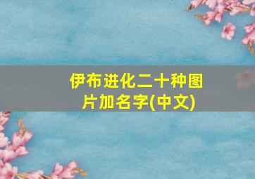 伊布进化二十种图片加名字(中文)