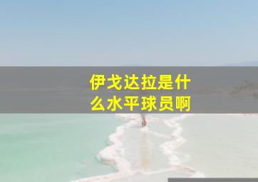 伊戈达拉是什么水平球员啊