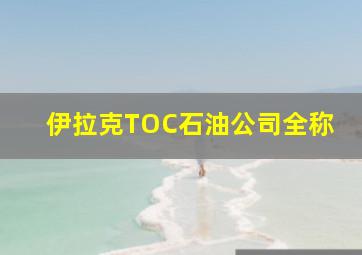 伊拉克TOC石油公司全称