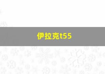 伊拉克t55