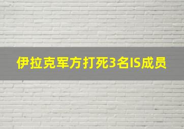 伊拉克军方打死3名IS成员