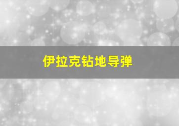 伊拉克钻地导弹