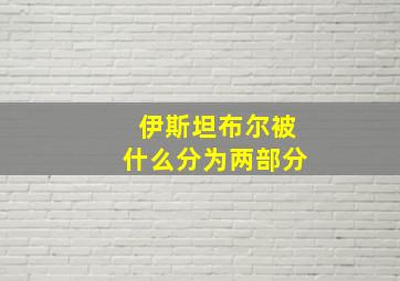 伊斯坦布尔被什么分为两部分