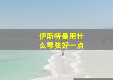 伊斯特曼用什么琴弦好一点