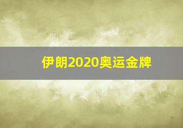 伊朗2020奥运金牌