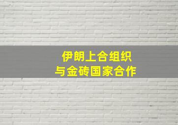 伊朗上合组织与金砖国家合作