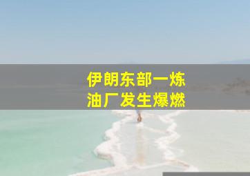 伊朗东部一炼油厂发生爆燃