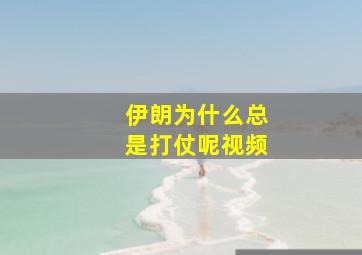 伊朗为什么总是打仗呢视频