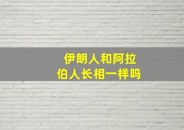 伊朗人和阿拉伯人长相一样吗