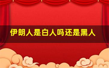 伊朗人是白人吗还是黑人