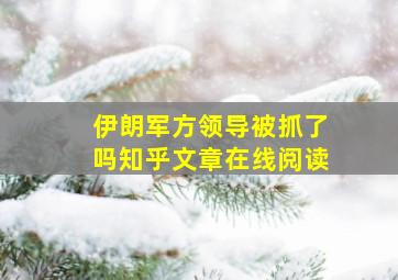 伊朗军方领导被抓了吗知乎文章在线阅读