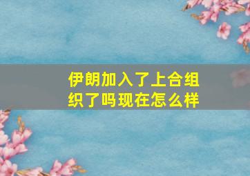 伊朗加入了上合组织了吗现在怎么样