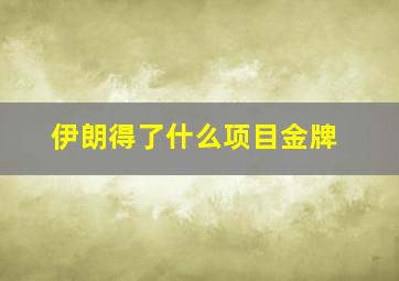 伊朗得了什么项目金牌