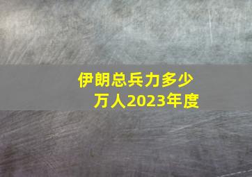 伊朗总兵力多少万人2023年度