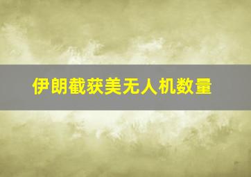 伊朗截获美无人机数量