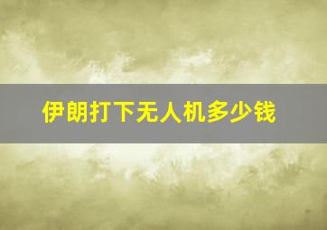 伊朗打下无人机多少钱