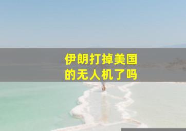 伊朗打掉美国的无人机了吗