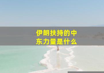 伊朗扶持的中东力量是什么