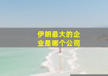 伊朗最大的企业是哪个公司