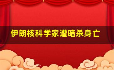 伊朗核科学家遭暗杀身亡