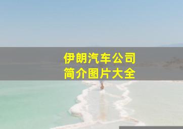 伊朗汽车公司简介图片大全