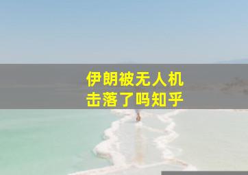 伊朗被无人机击落了吗知乎