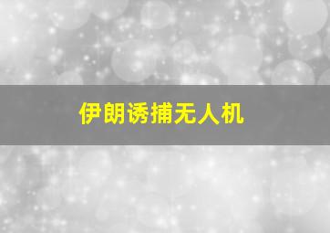 伊朗诱捕无人机