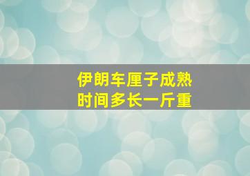 伊朗车厘子成熟时间多长一斤重