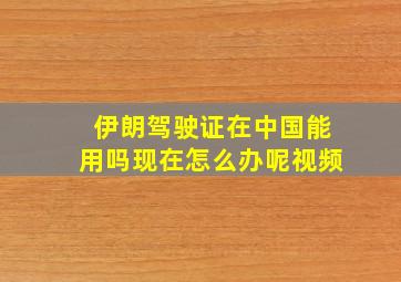 伊朗驾驶证在中国能用吗现在怎么办呢视频